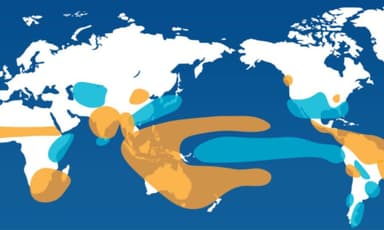 Drought expected in July–August